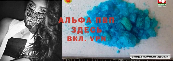 индика Армянск
