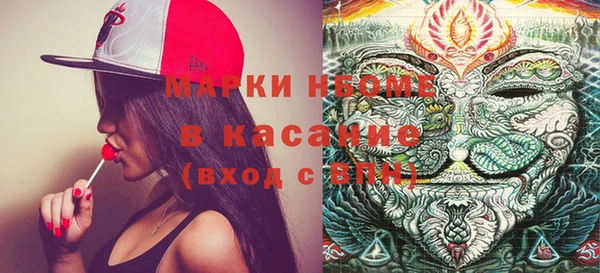 индика Армянск