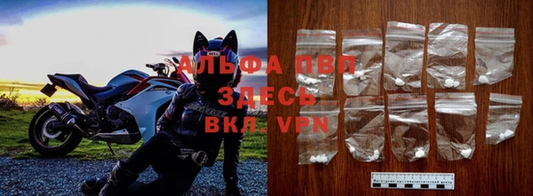 индика Армянск