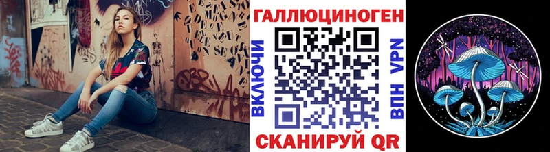 Псилоцибиновые грибы Psilocybe Соликамск